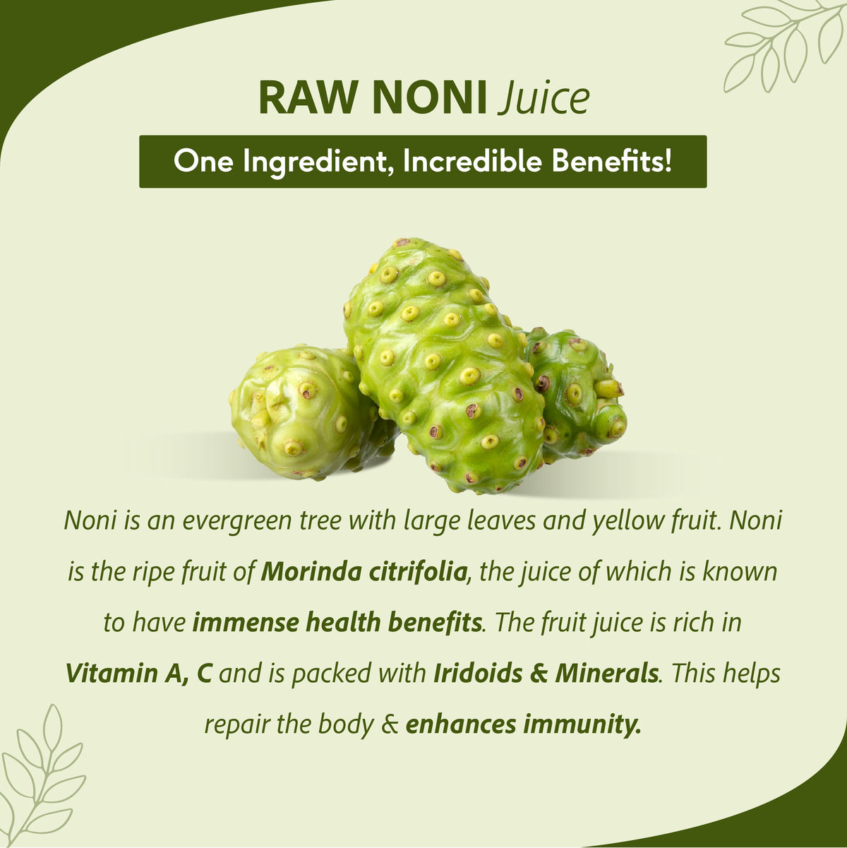 Sri Sri Tattva Raw Noni Juice - Holistic Health | Anti-inflammatory, Antioxidant, Immune Enhancing, Rich In Biotin & Vitamin C | 1 L