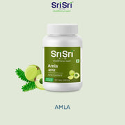 Sri Sri Tattva Amla - Anti Oxidant, 60 Tabs | 500 mg