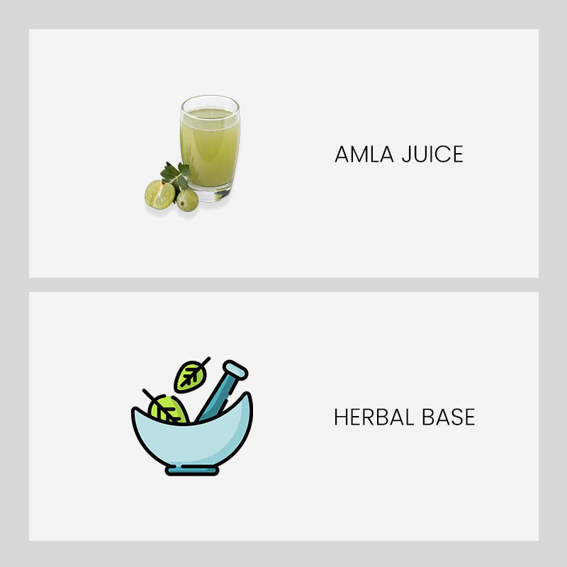 Patanjali Amla Juice