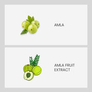 Patanjali Amla Juice