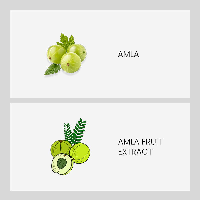 Patanjali Amla Juice