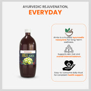 Patanjali Amla Juice