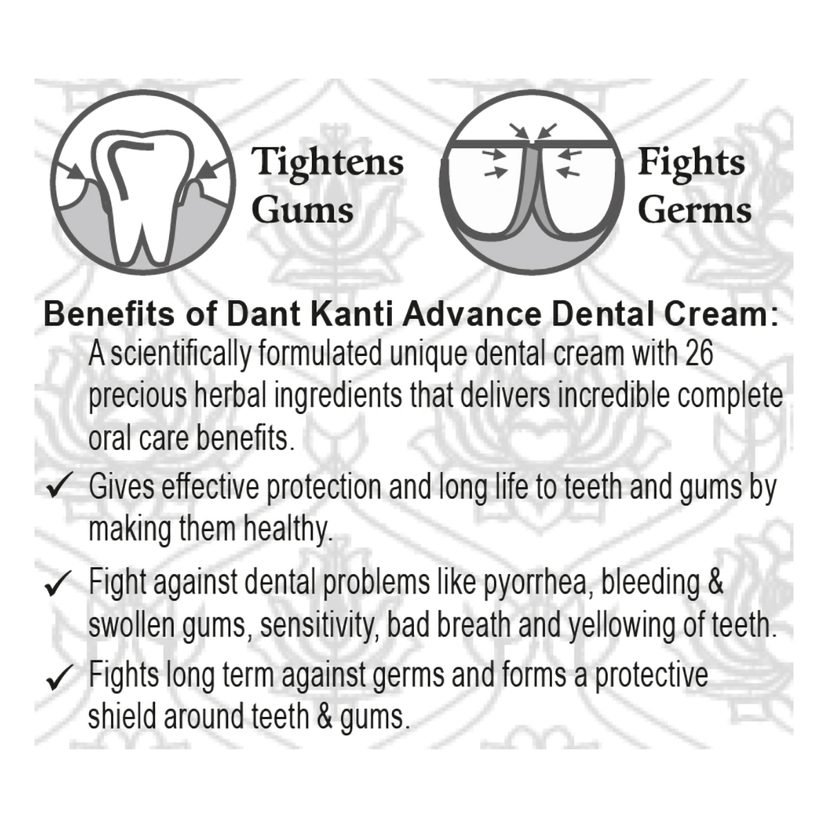 Patanjali Dant Kanti Advanced 100 G