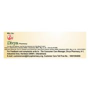 Patanjali Divya Herbal Peya