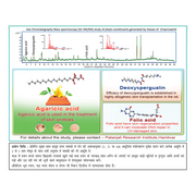 Patanjali Divya Charmeshti (Hawan Samagri)