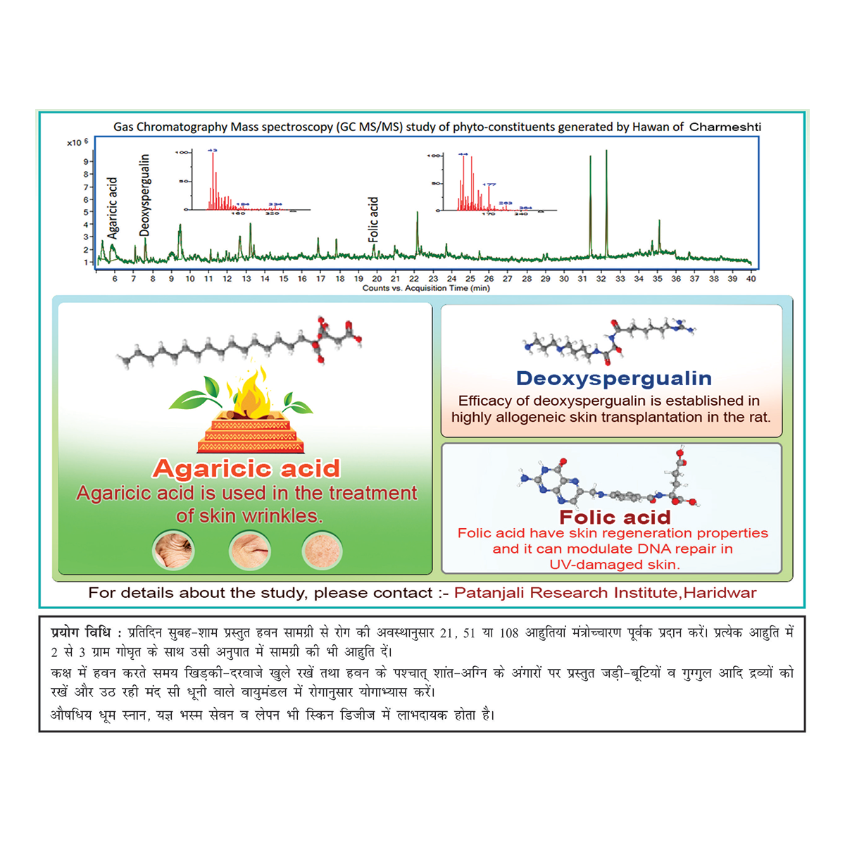 Patanjali Divya Charmeshti (Hawan Samagri)