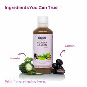 Sri Sri Tattva Karela Jamun Juice | Supports Metabolic Balance, Energy & Overall Wellness | 500 ml