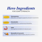 Patanjali Nutrela Ortho Care Powder