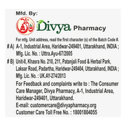 Patanjali Divya Punrgrit 3 U X 20 N