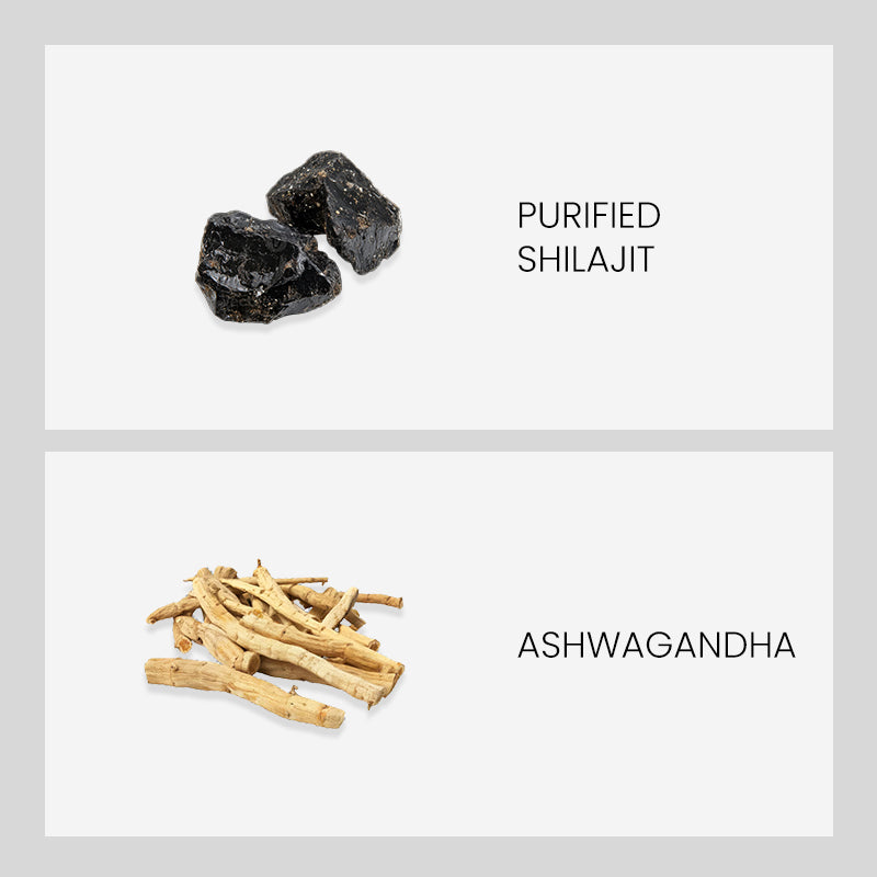 Patanjali Swarna Shilajit Capsule