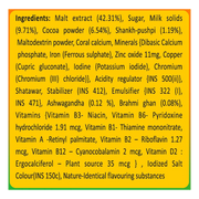 Patanjali Combo Herbal Powervita Plus - 500 G Refill (Pack of 2)